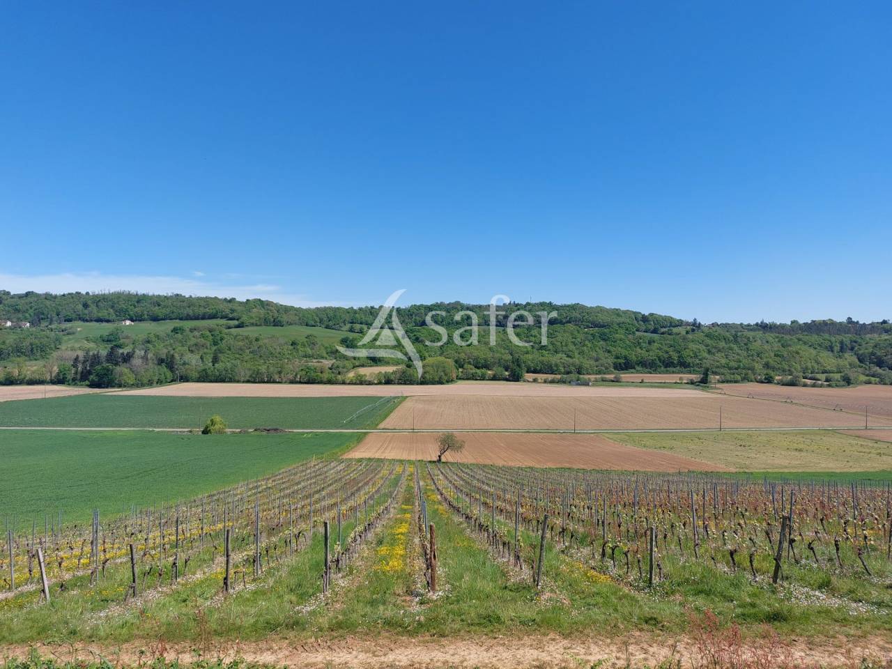 Azienda viticola / Vigneto In vendita Pyrénées-Atlantiques