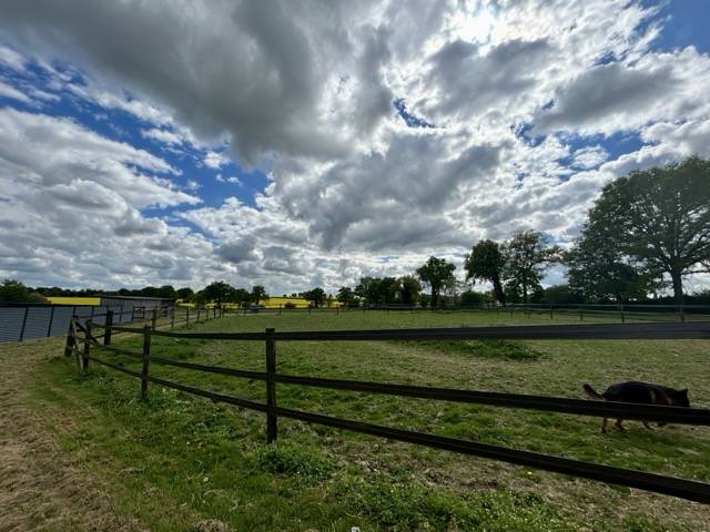 Scuderia di corsa In vendita Mayenne