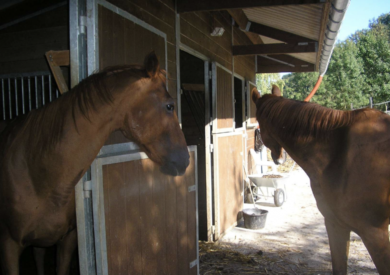 Proprietà equestre In vendita Isère