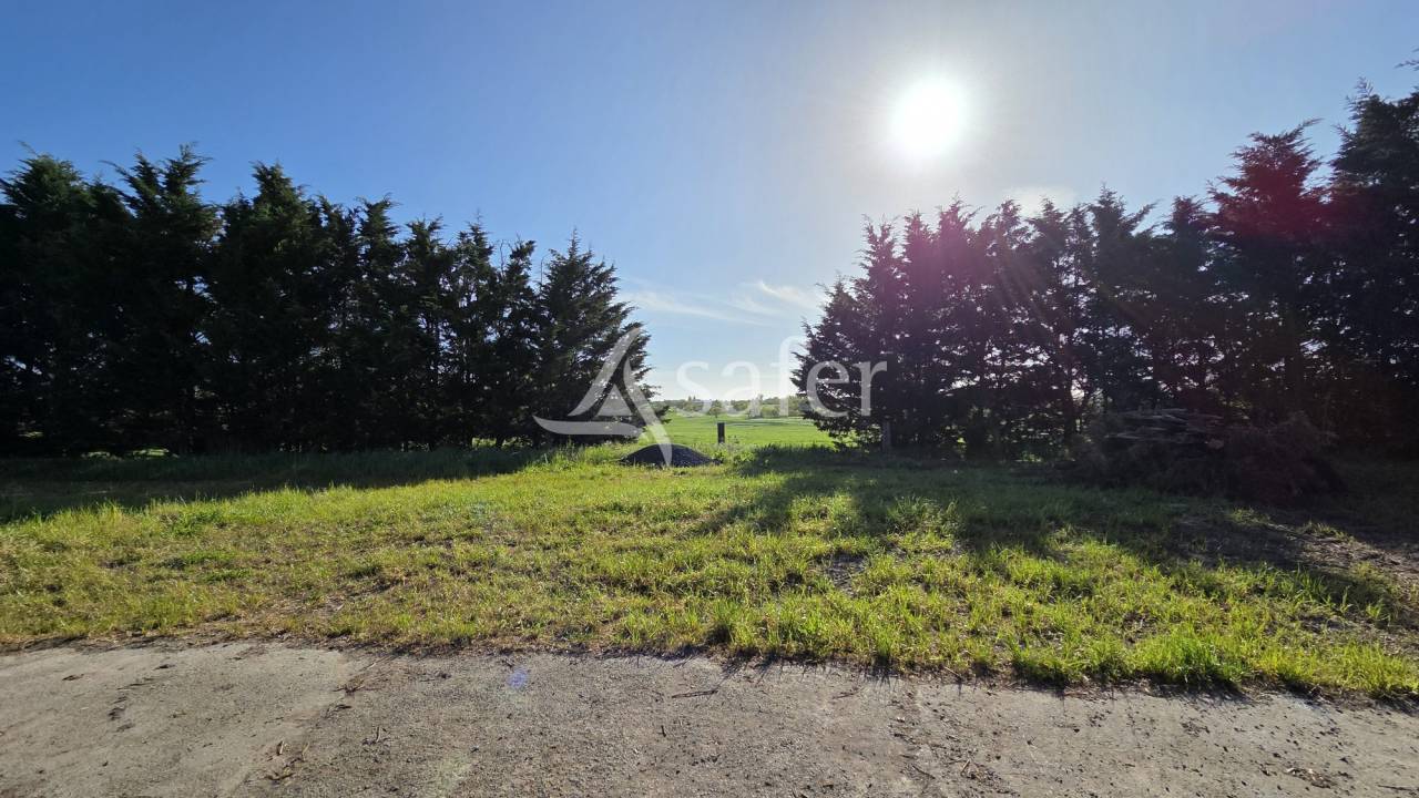 Proprietà rurale In vendita Loire-Atlantique