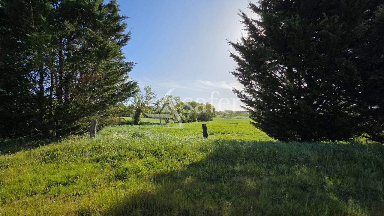 Proprietà rurale In vendita Loire-Atlantique