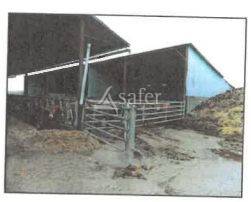 Azienda agricola In vendita Indre-et-Loire