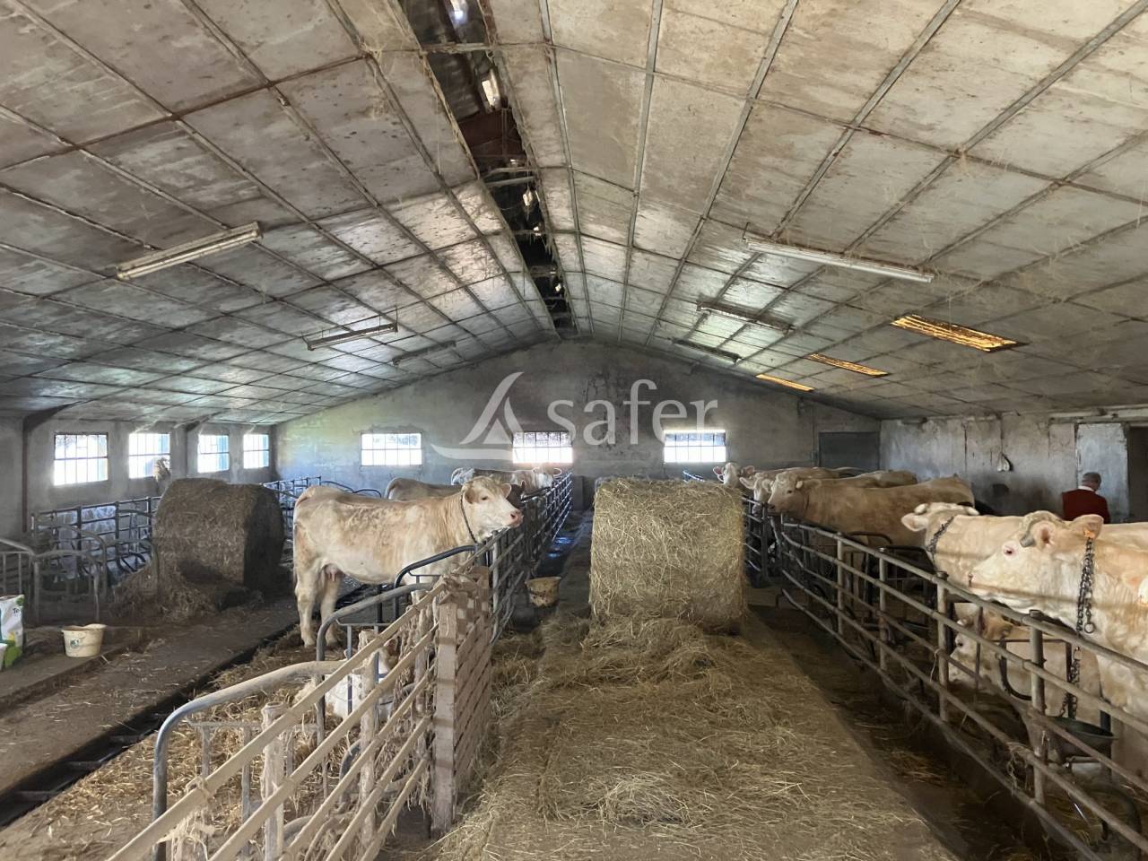 Proprietà rurale In vendita Saône-et-Loire