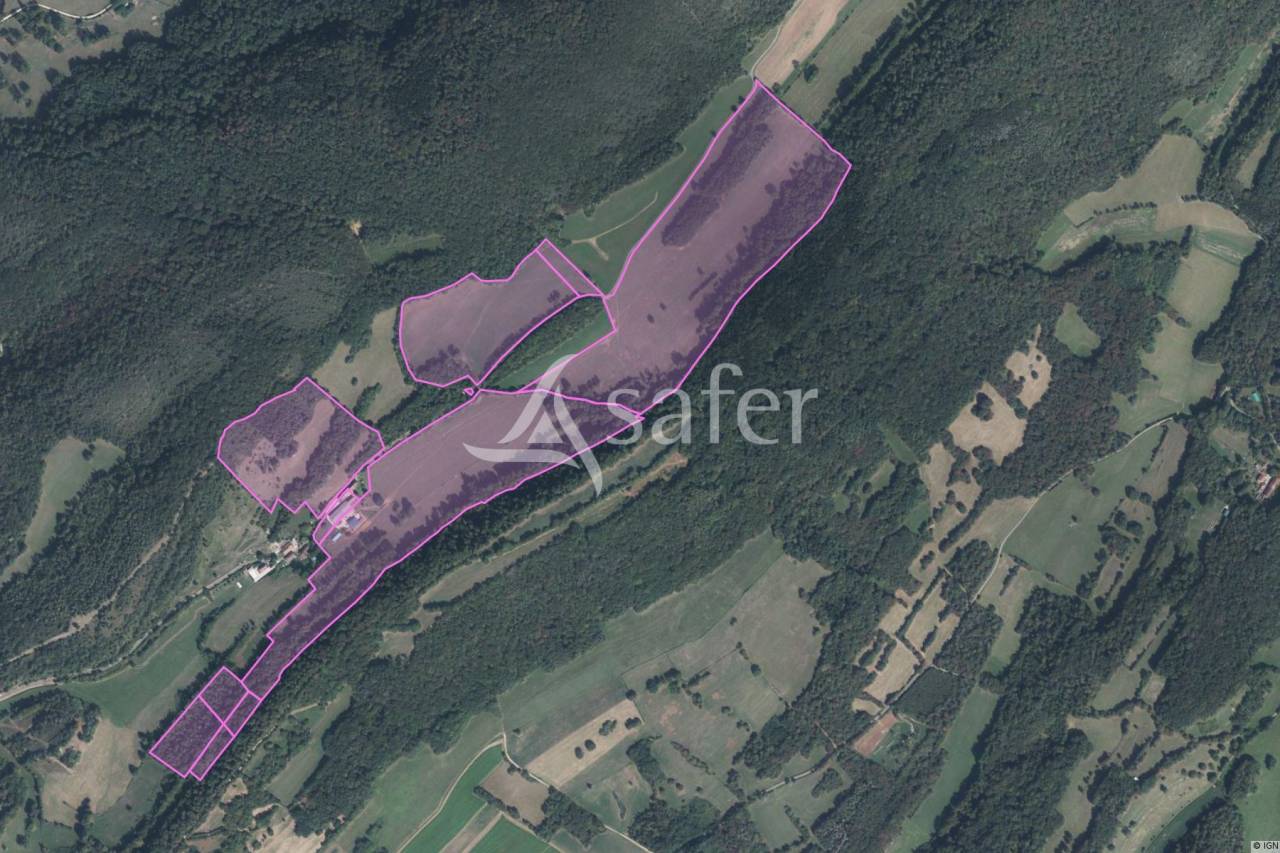 Azienda ovina In vendita Jura