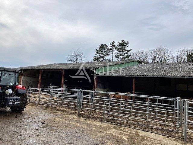 Azienda ovina In vendita Jura