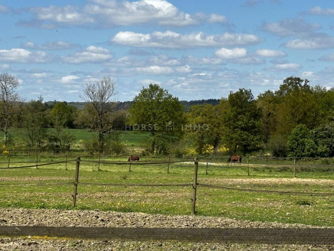 Propriet&agrave; equestre In vendita Ile-et-Vilaine