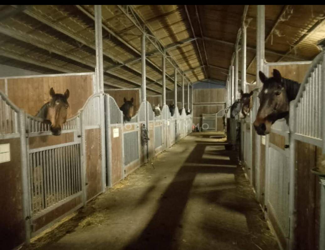 Proprietà equestre In vendita Vendée