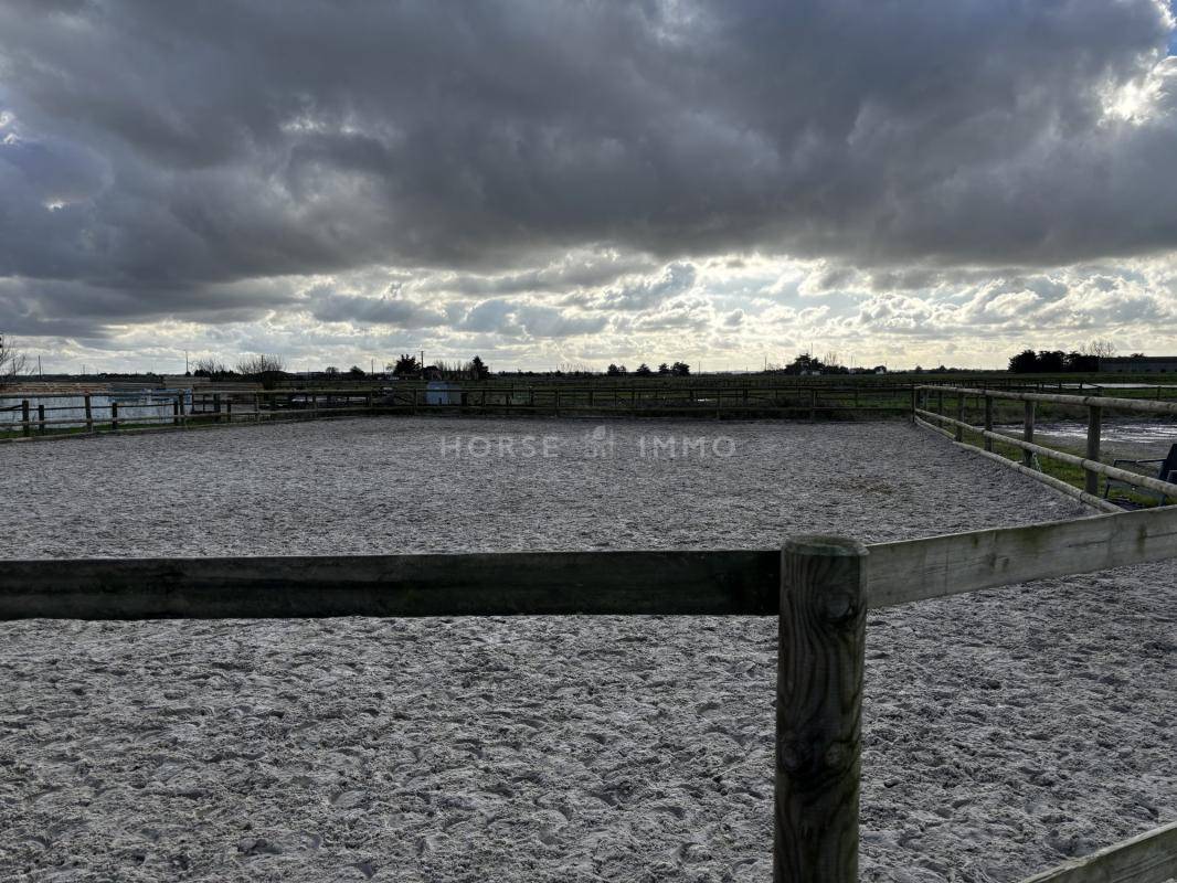 Propriet&agrave; equestre In vendita Vend&eacute;e