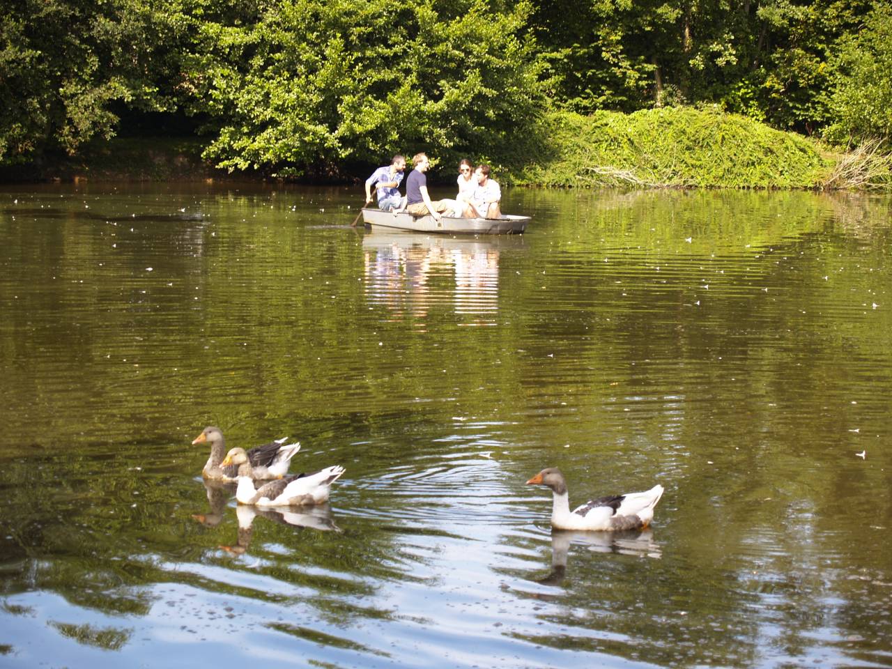 Proprietà di equiturismo In vendita Calvados