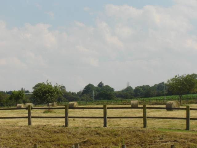 Proprietà di equiturismo In vendita Calvados