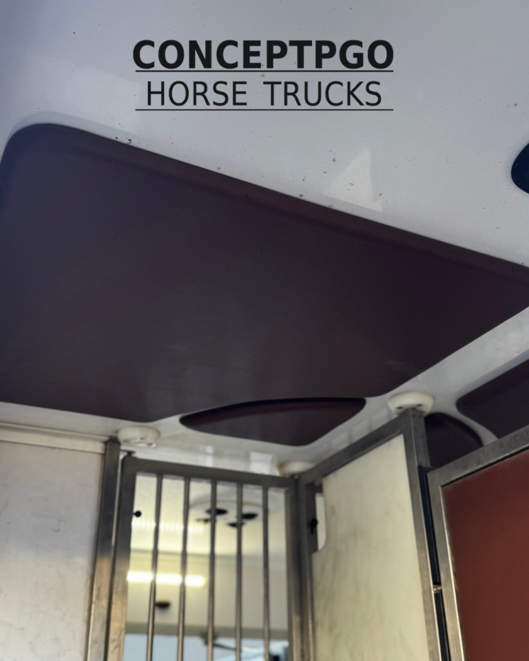 Van per Cavalli Renault ATM  2024 Occasione