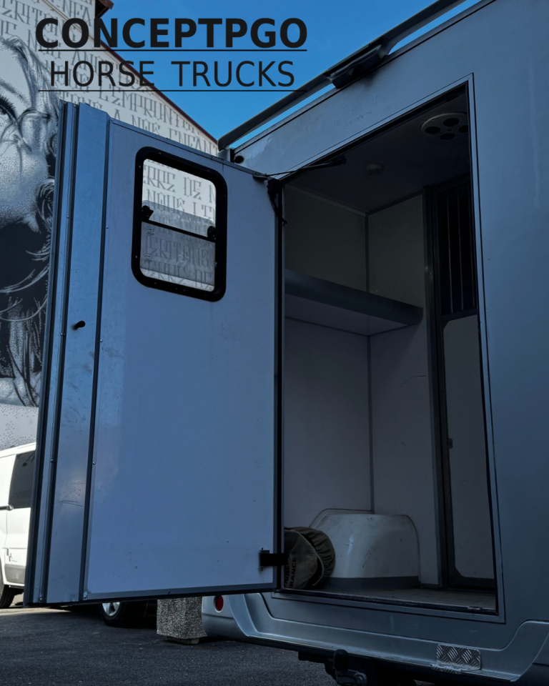 Van per Cavalli Renault ATM  2024 Occasione