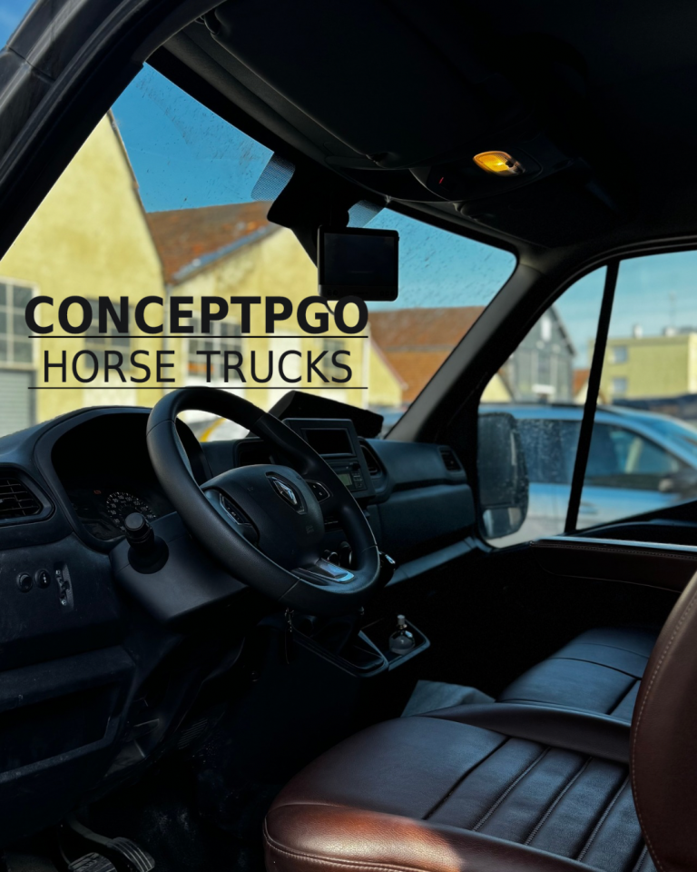 Van per Cavalli Renault ATM  2024 Occasione