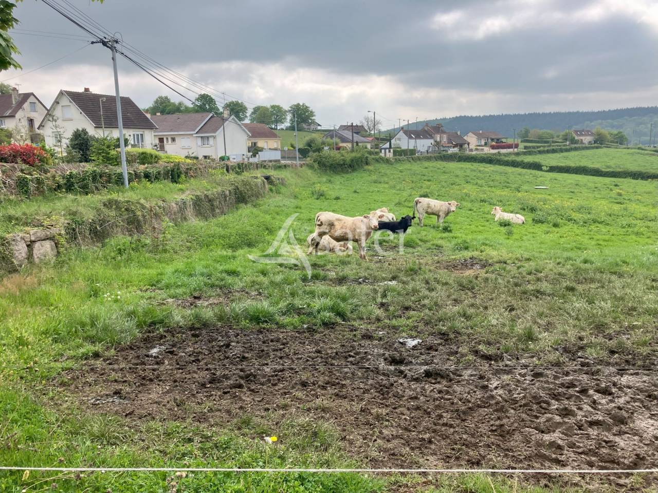 Azienda orticoltrice In vendita Saône-et-Loire