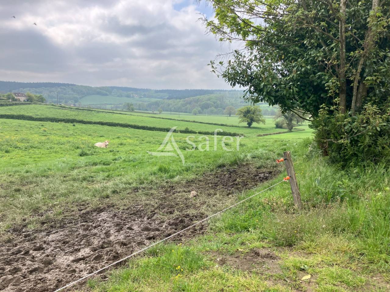 Azienda orticoltrice In vendita Saône-et-Loire