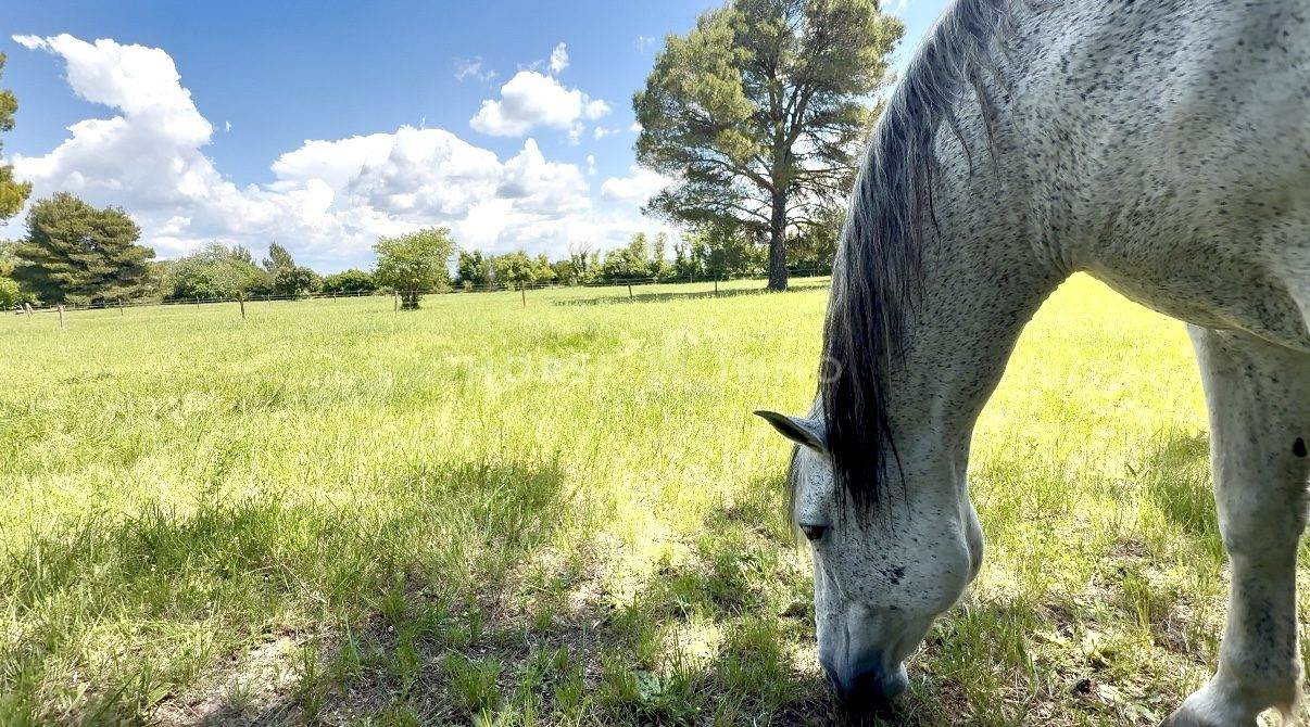 Proprietà equestre In vendita Bouches-du-Rhône