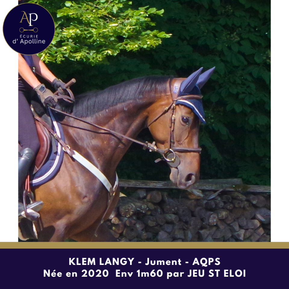 Cavalla AQPS In vendita 2020 Baio ,  Jeu St Eloi