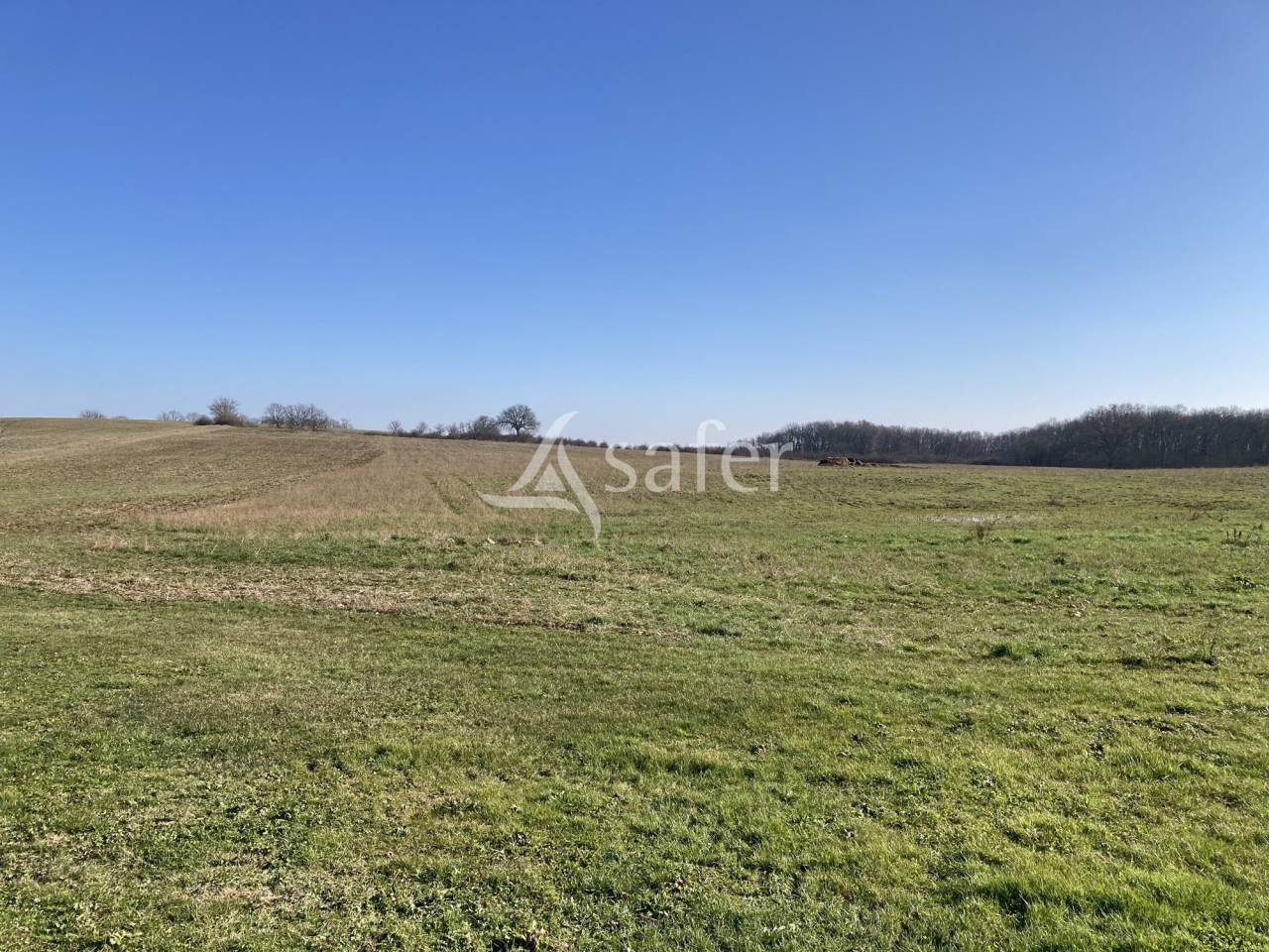 Proprietà equestre In vendita Lot-et-Garonne