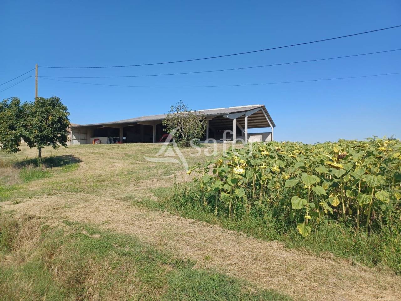 Azienda agricola In vendita Lot-et-Garonne