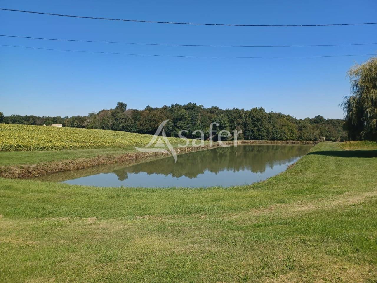 Azienda agricola In vendita Lot-et-Garonne
