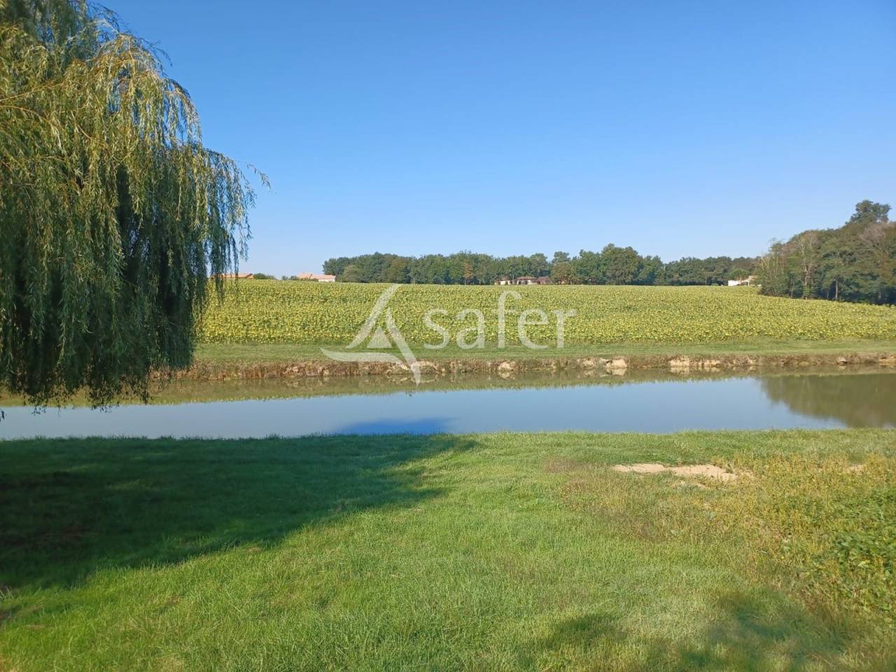 Azienda agricola In vendita Lot-et-Garonne