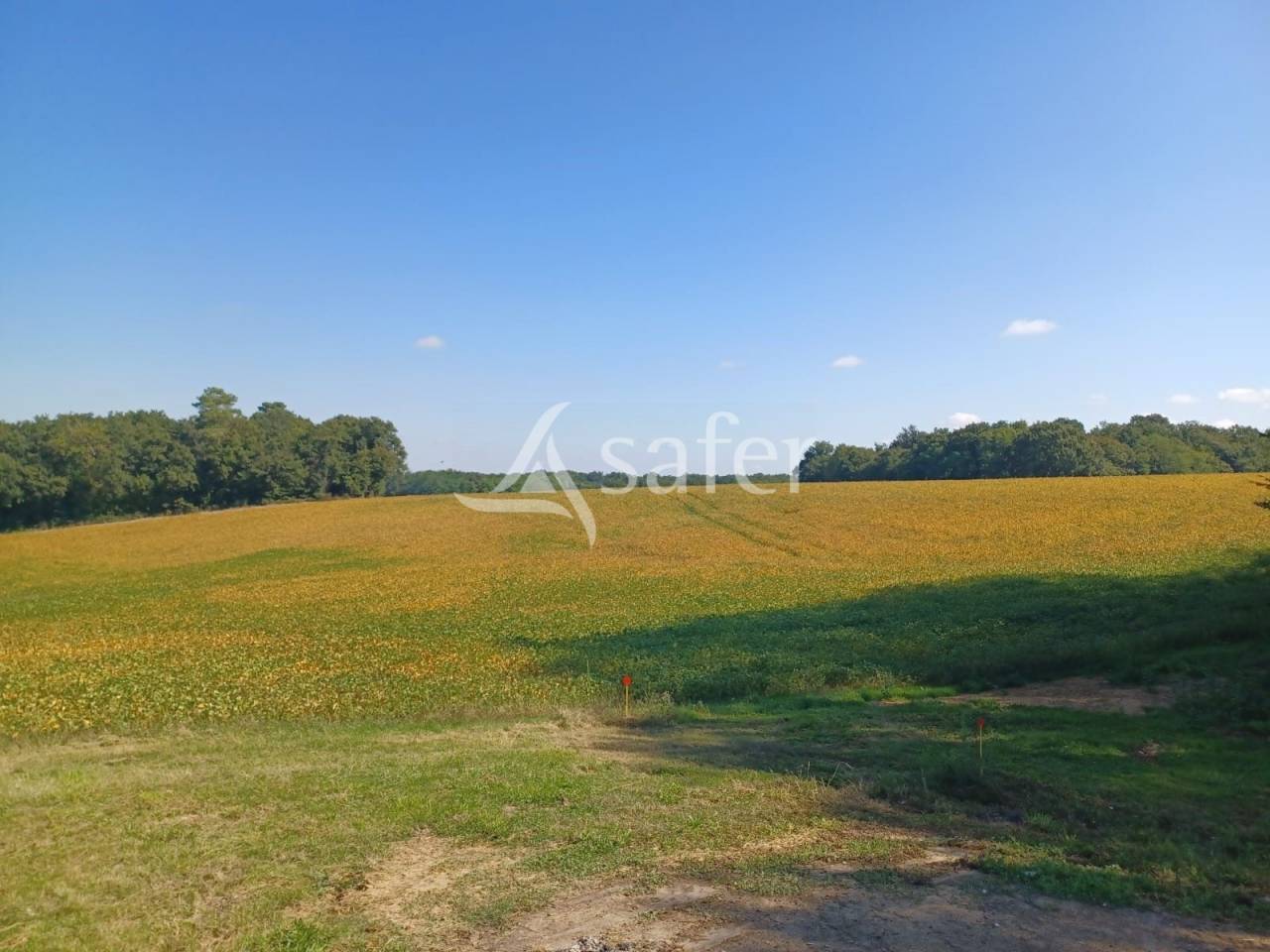 Azienda agricola In vendita Lot-et-Garonne