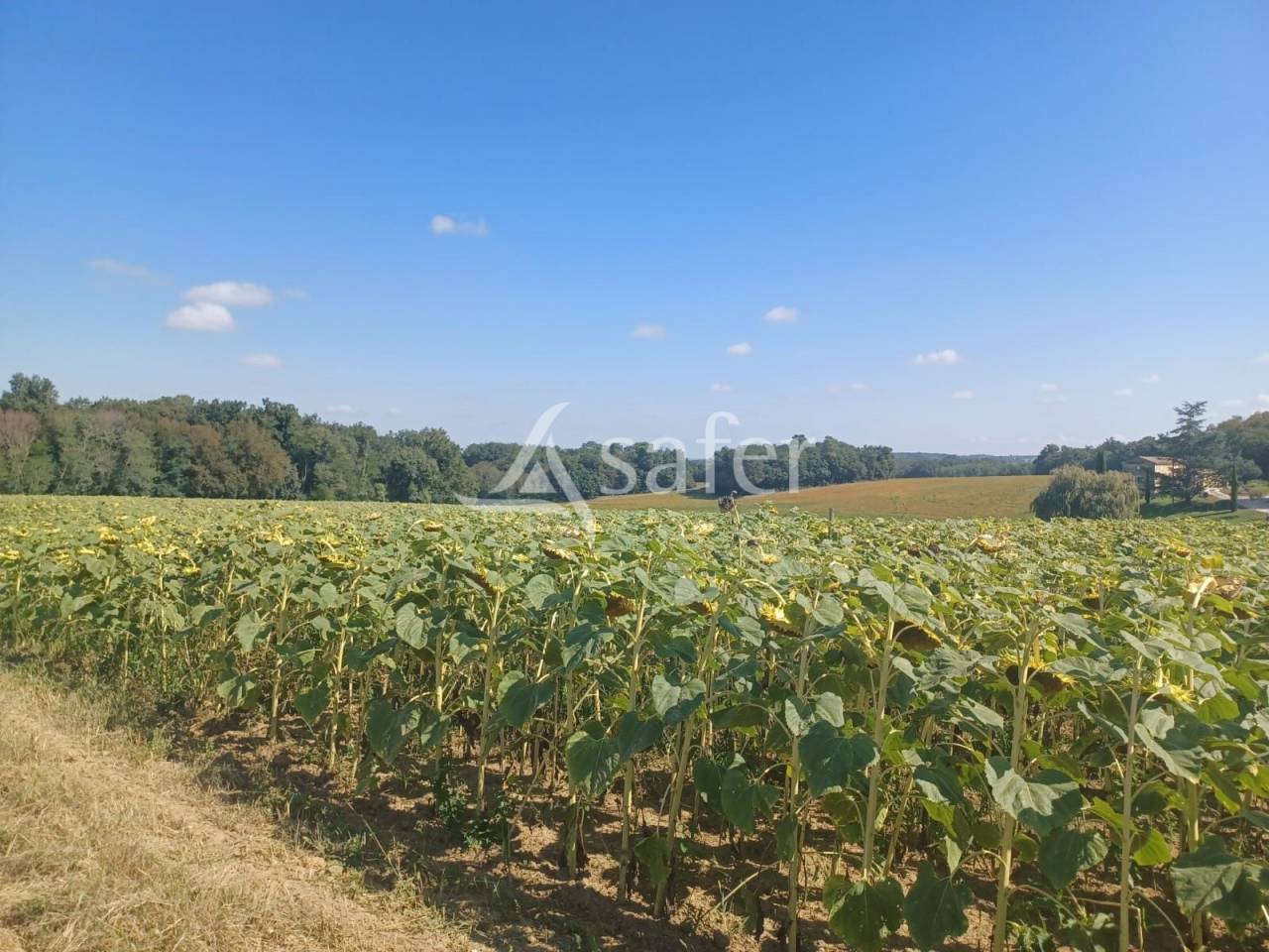 Azienda agricola In vendita Lot-et-Garonne