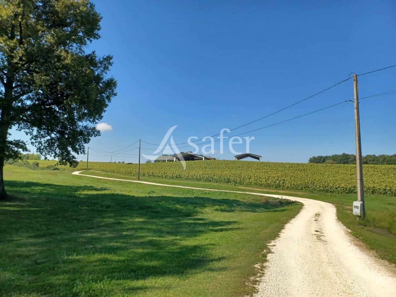 Azienda agricola In vendita Lot-et-Garonne
