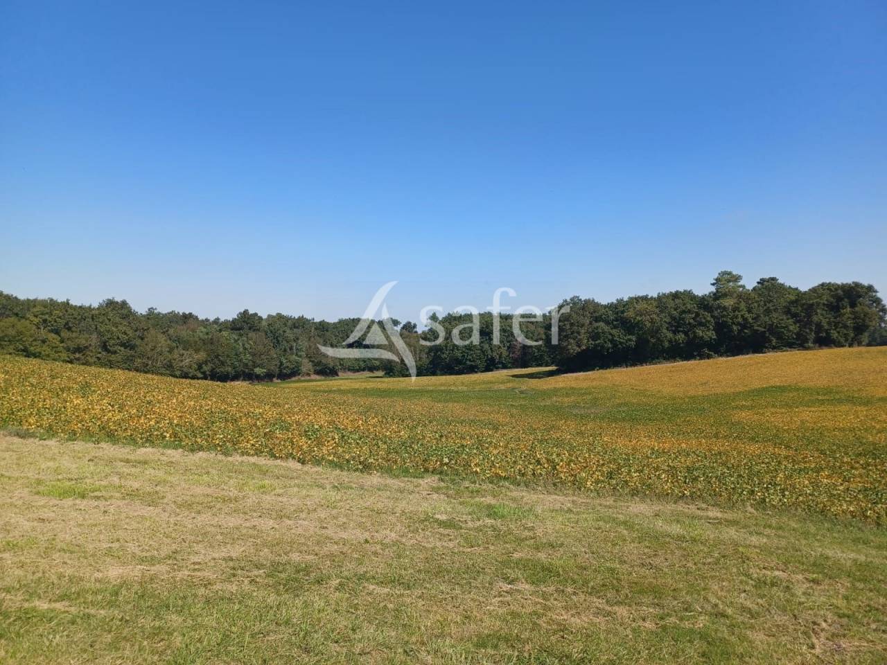 Azienda agricola In vendita Lot-et-Garonne