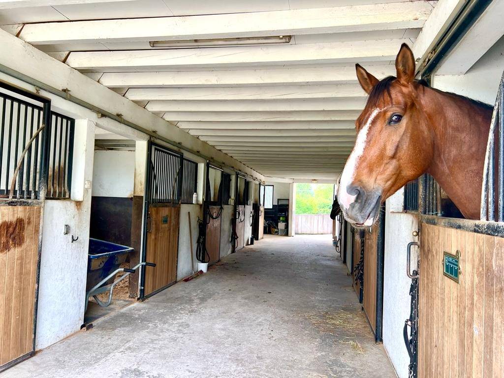 Proprietà equestre In vendita Pyrénées-Atlantiques