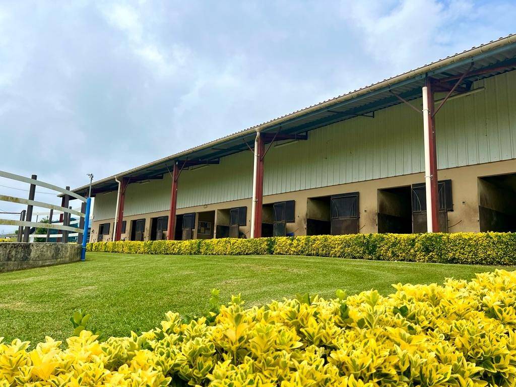 Proprietà equestre In vendita Pyrénées-Atlantiques