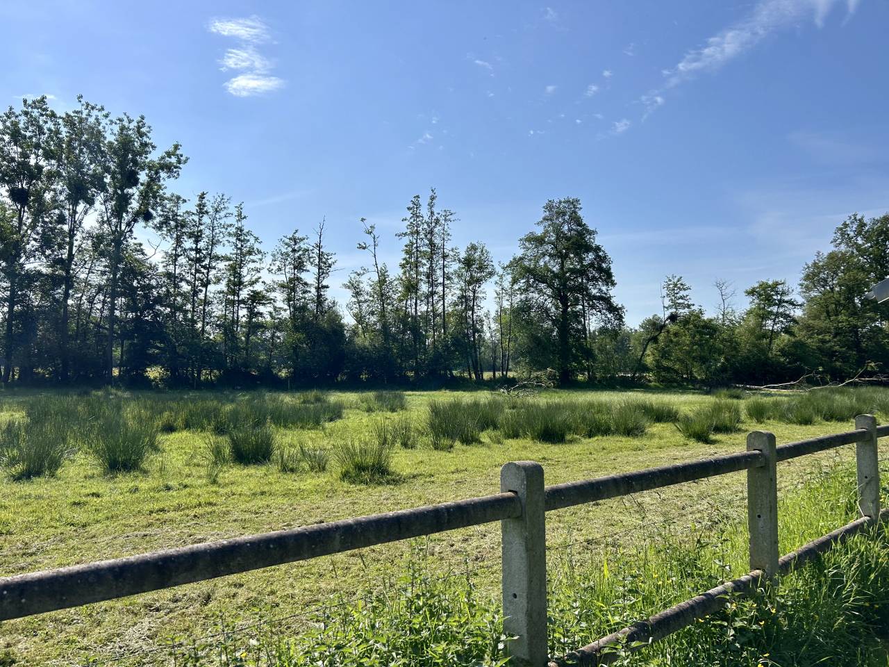 Bella dimora equestre In vendita Morbihan