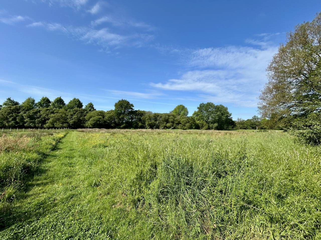 Bella dimora equestre In vendita Morbihan