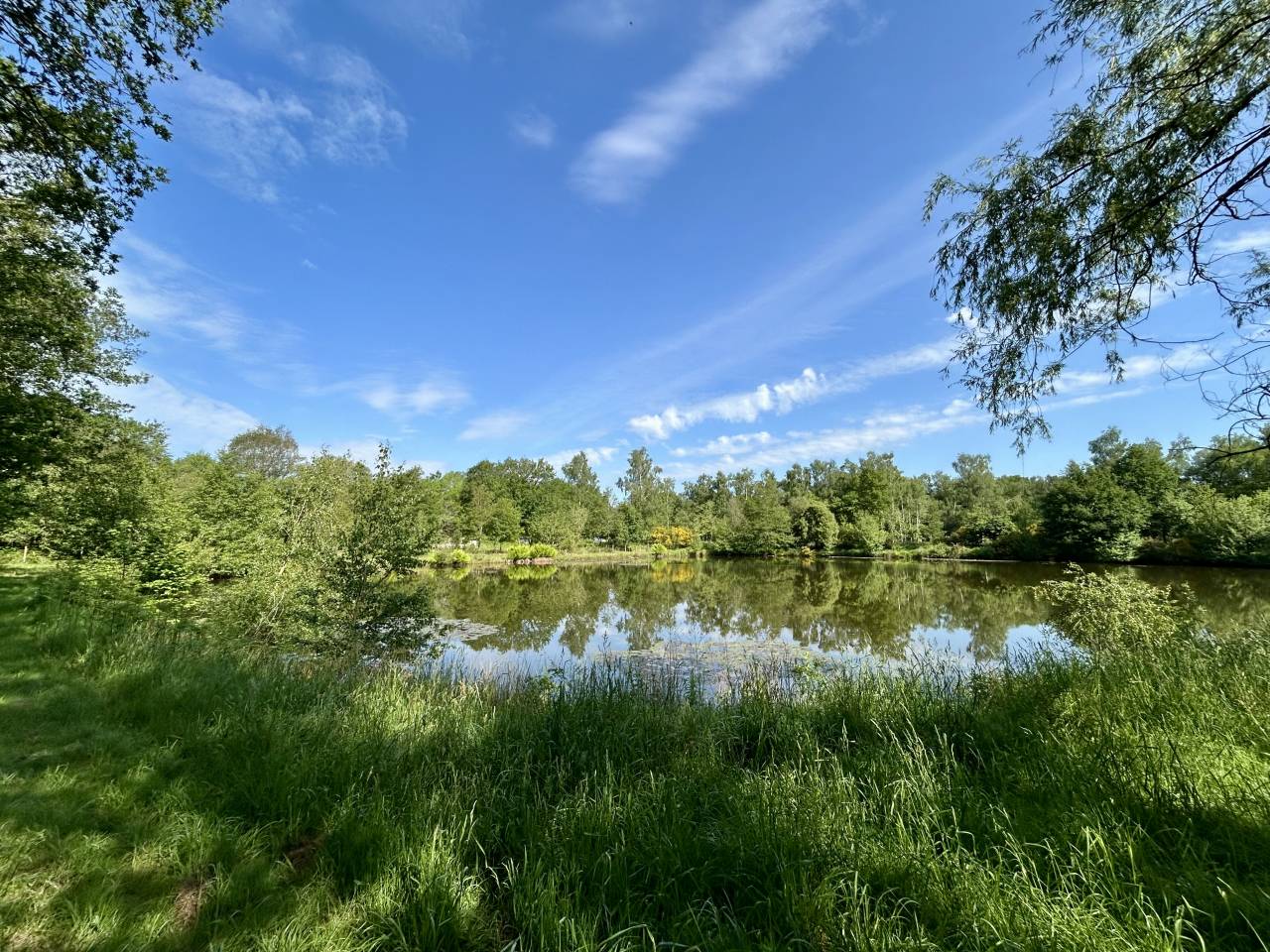 Bella dimora equestre In vendita Morbihan