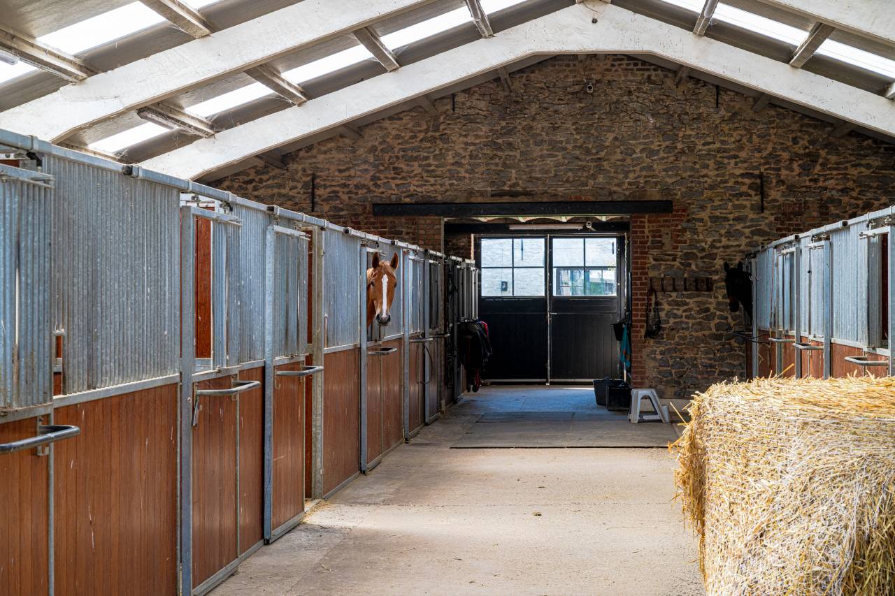 Proprietà equestre In vendita Hainaut