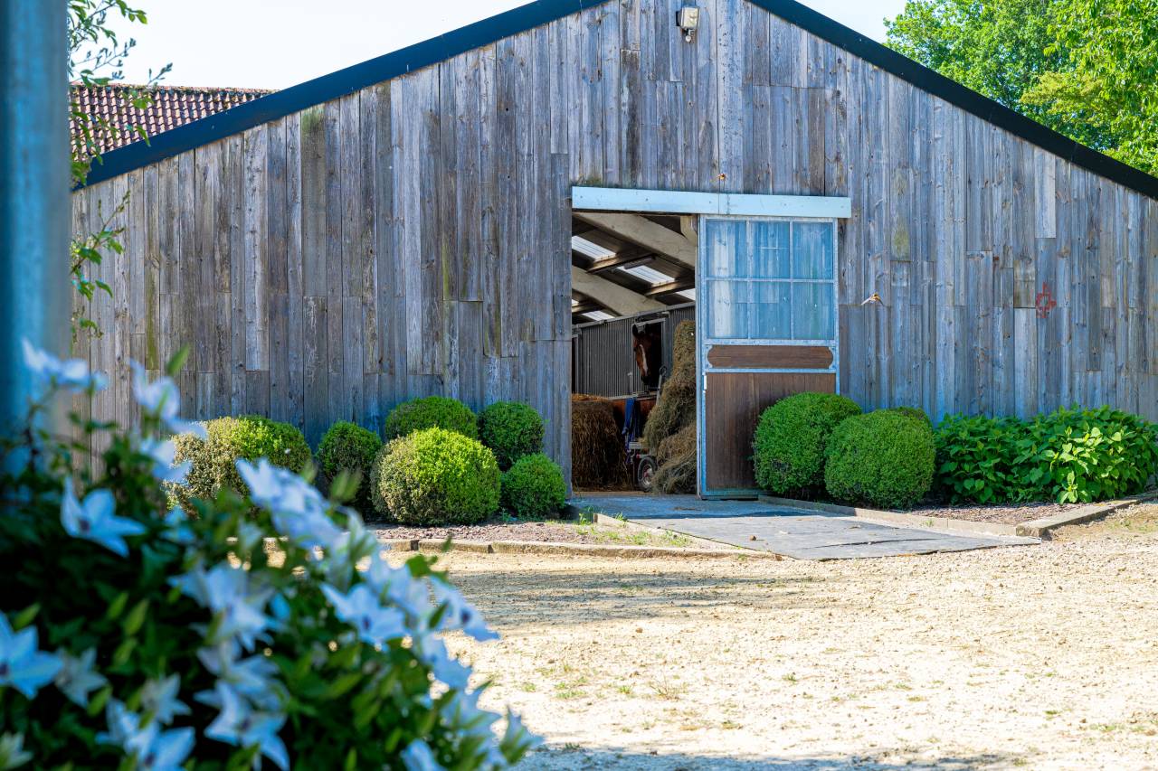 Proprietà equestre In vendita Hainaut