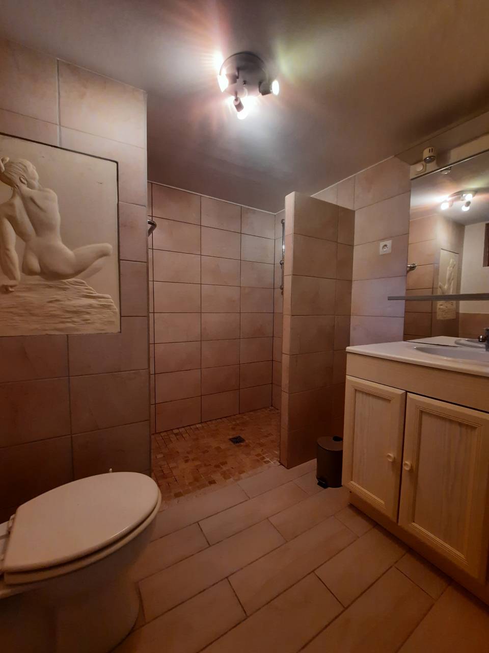 Bella dimora equestre In vendita Charente-Maritime