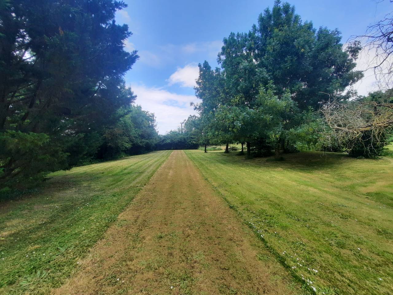 Bella dimora equestre In vendita Charente-Maritime
