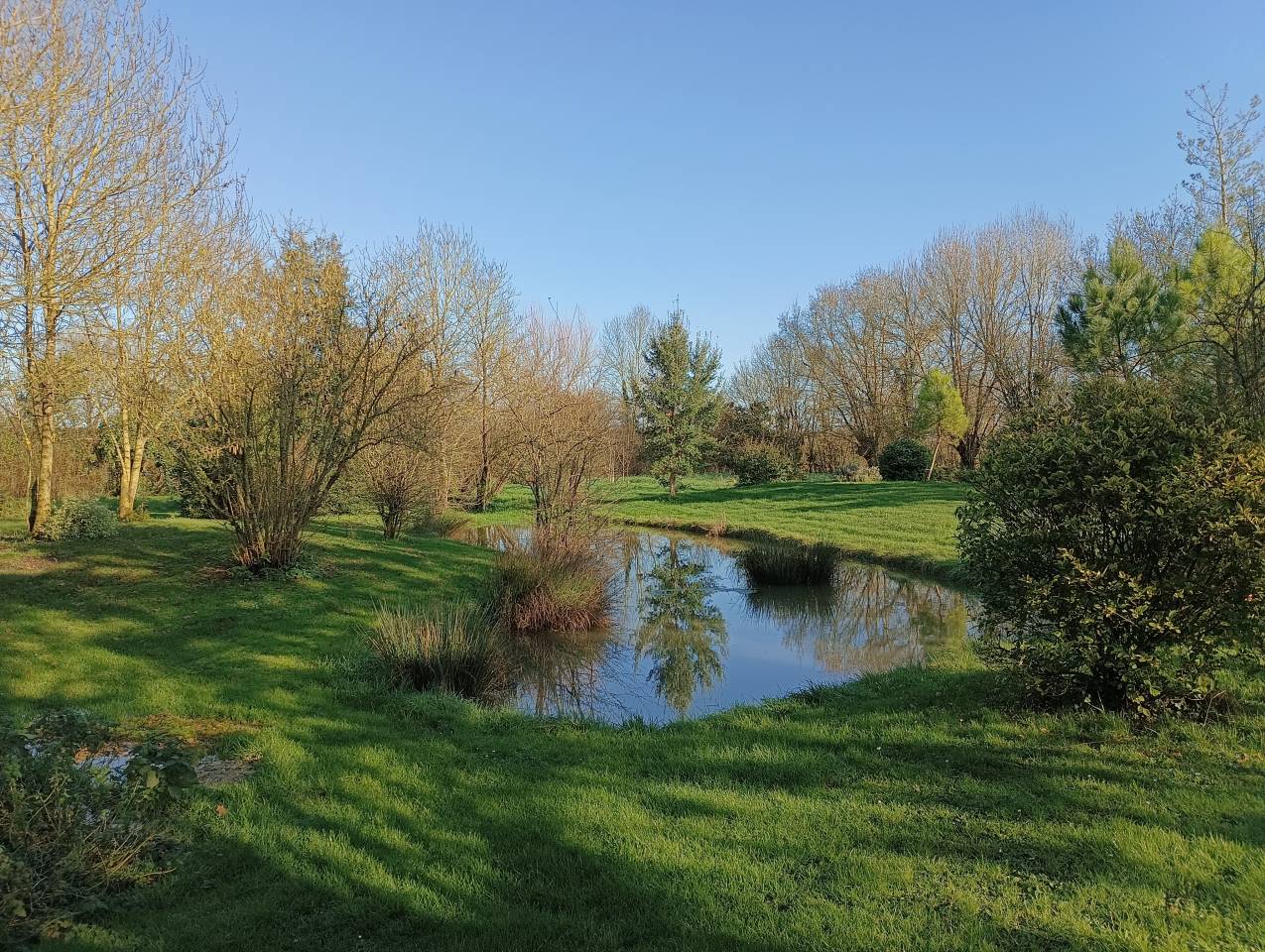 Bella dimora equestre In vendita Charente-Maritime
