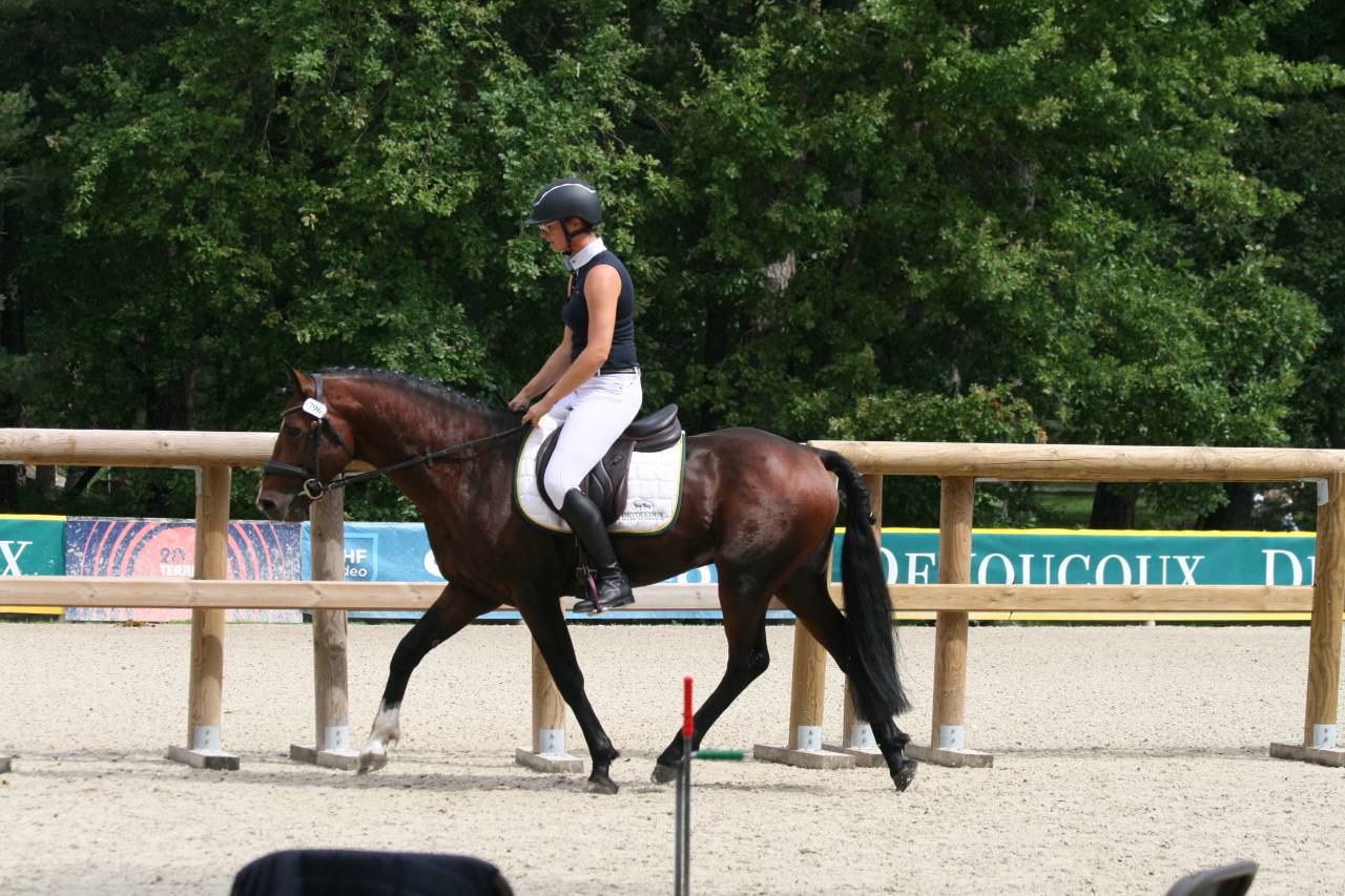 KENPACHI EBC - Connemara 2020