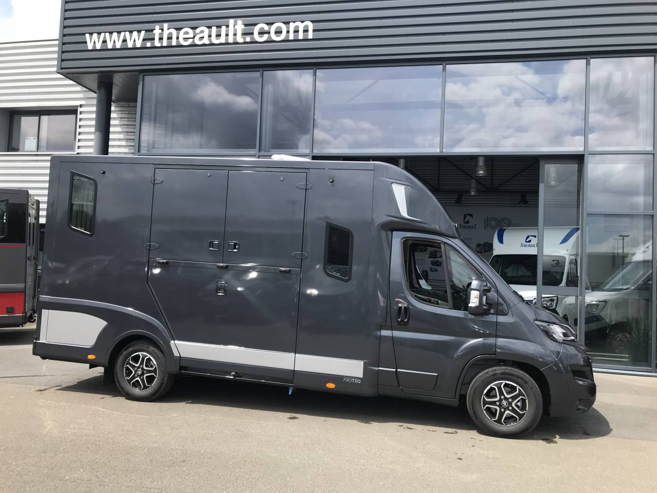 Van per Cavalli Theault Proteo  2024 Occasione