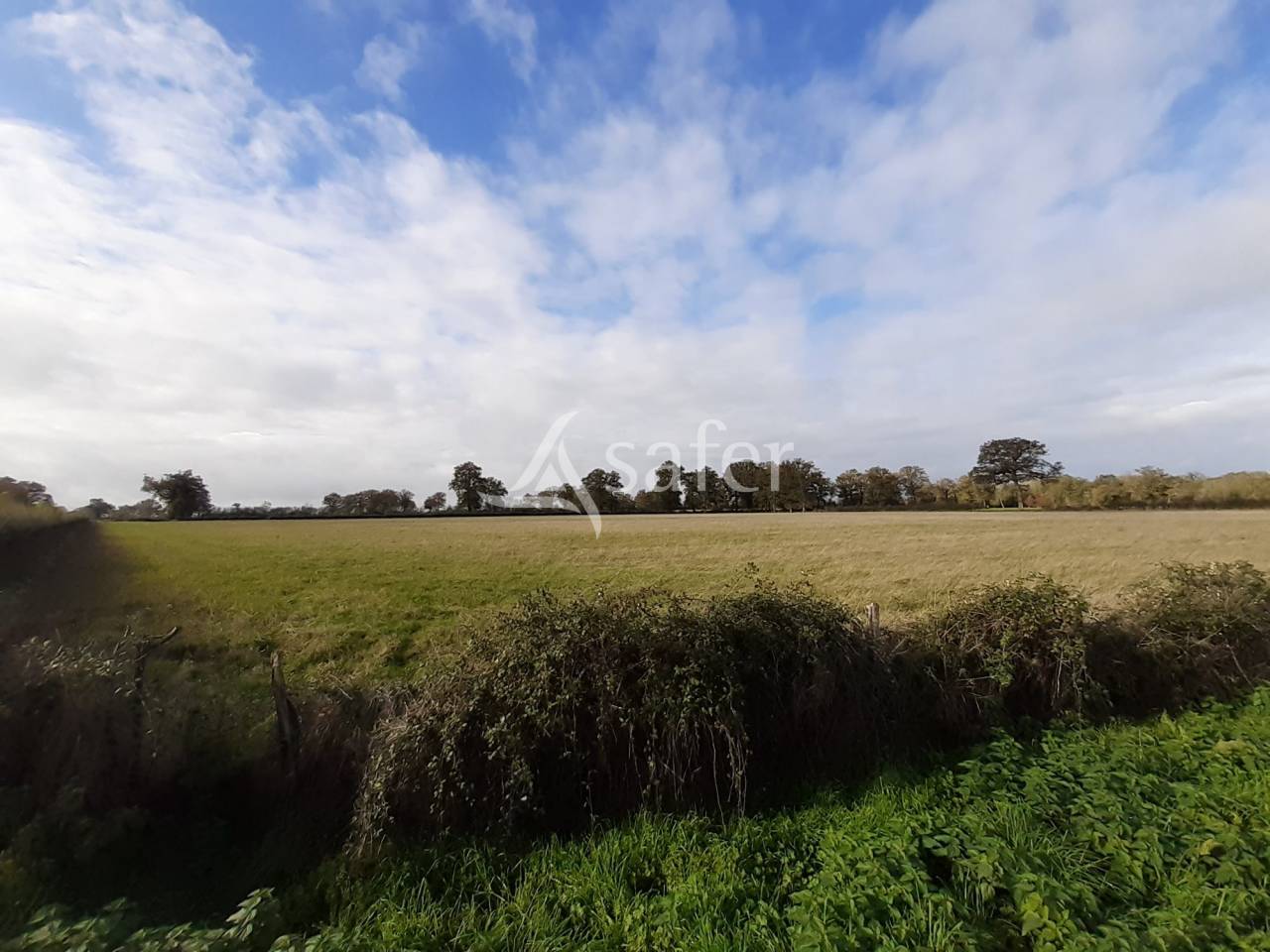 Azienda ovina In vendita Vienne