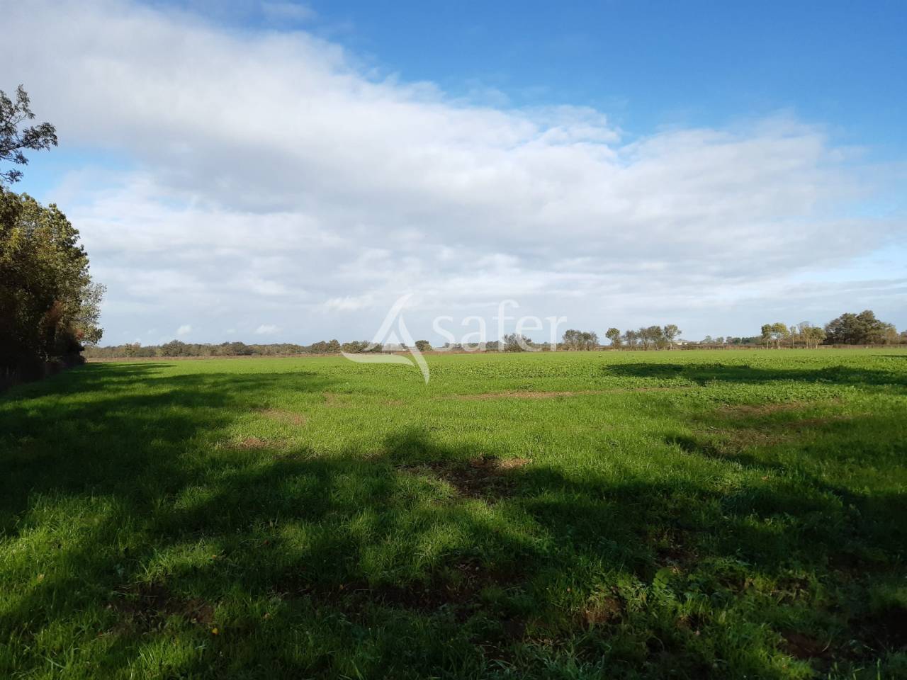 Azienda ovina In vendita Vienne