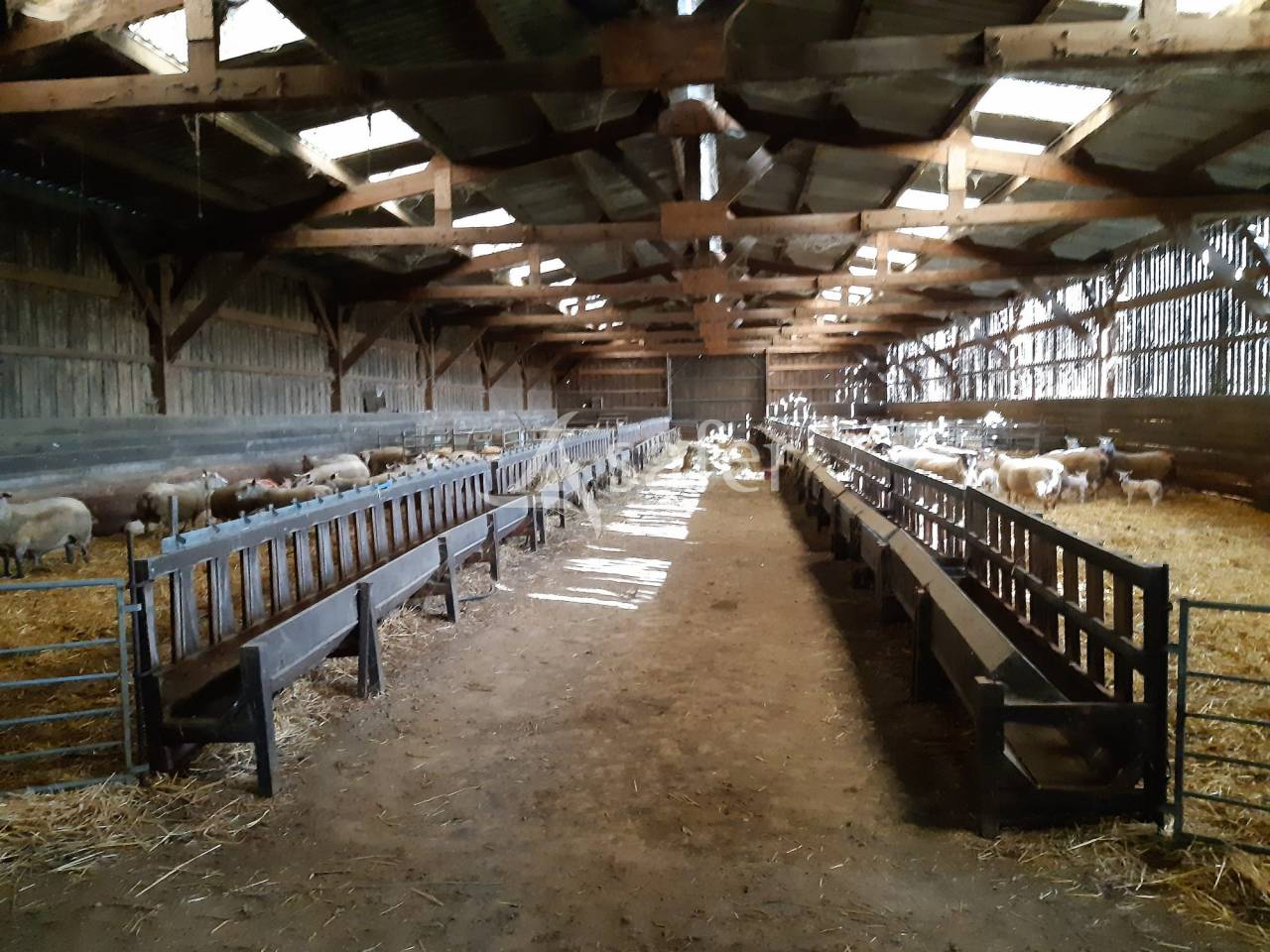 Azienda ovina In vendita Vienne