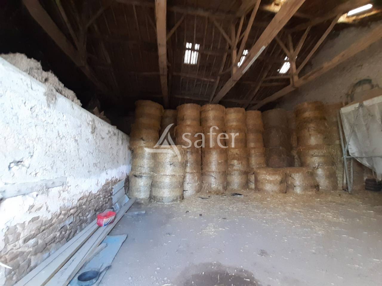 Azienda ovina In vendita Vienne