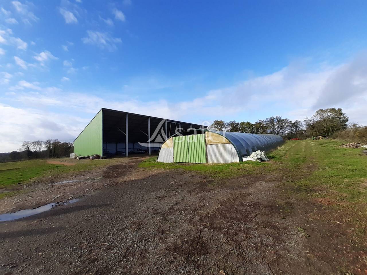 Azienda ovina In vendita Vienne