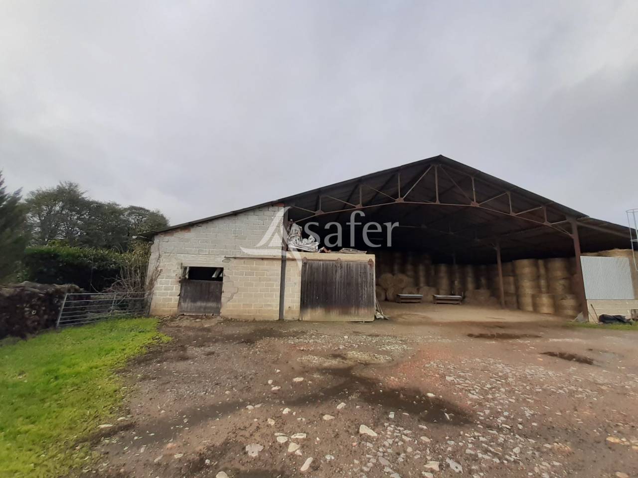 Azienda ovina In vendita Vienne