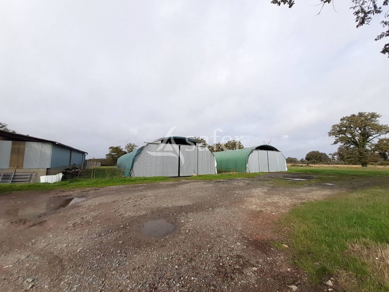 Azienda ovina In vendita Vienne