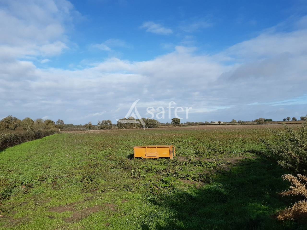 Azienda ovina In vendita Vienne