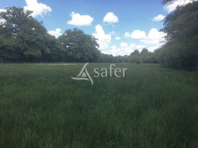 Proprietà rurale In vendita Creuse